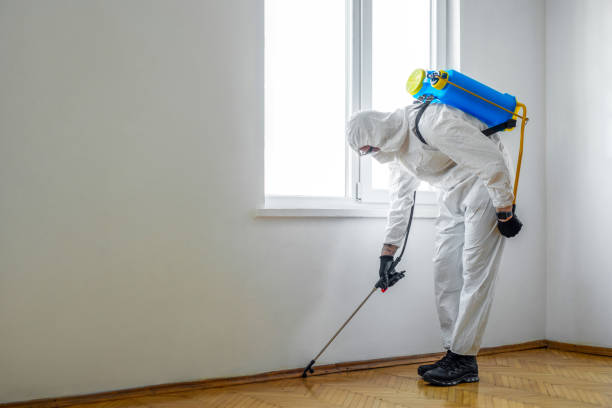 Best Best Pest Control Companies  in Stromsburg, NE